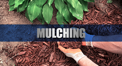 Mulching